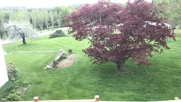 Room 8 | Ausblick vom Zimmer