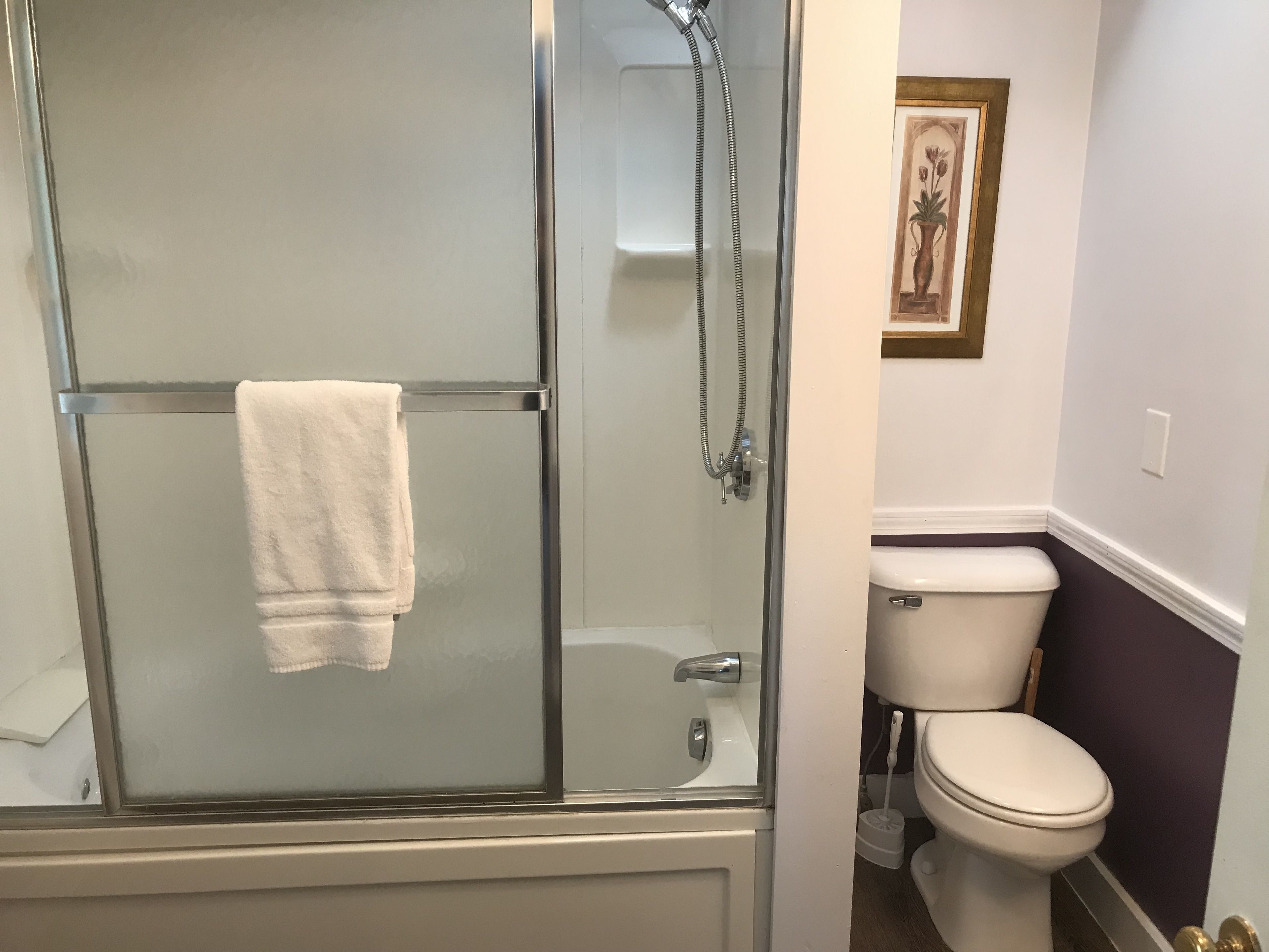 Un bagno con doccia vetrata, un WC bianco e un'opera d'arte incorniciata a parete.