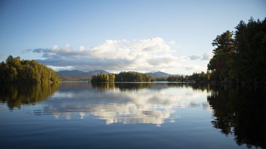 Hotel Saranac Curio Collection By Hilton