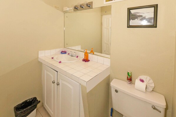 A bathroom with a white sink, mirror, and toilet. There is a trash can and a picture on the wall. - Hibiscus Heights (Black Rock)
