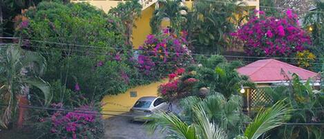 Vista desde la propiedad