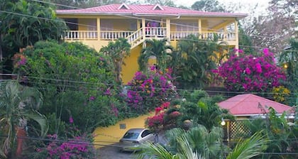 Hibiscus Heights
