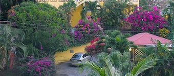 Hibiscus Heights