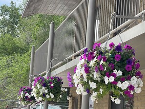 Exterior - Moab Rustic Inn (Moab)