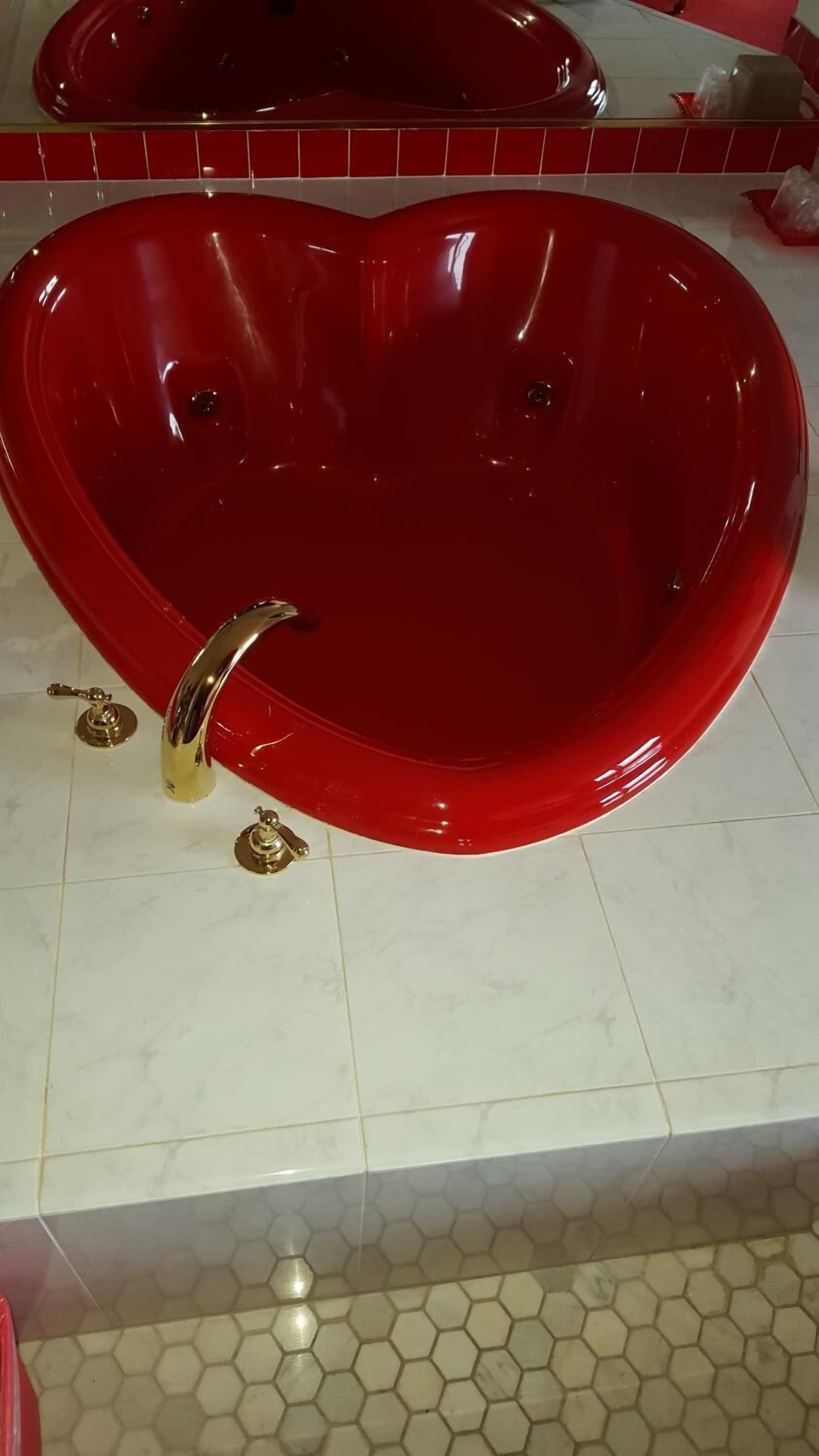 Foto - New Relax Inn Bridgeview