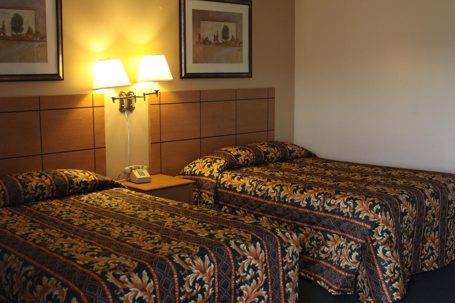 Foto - New Relax Inn Bridgeview