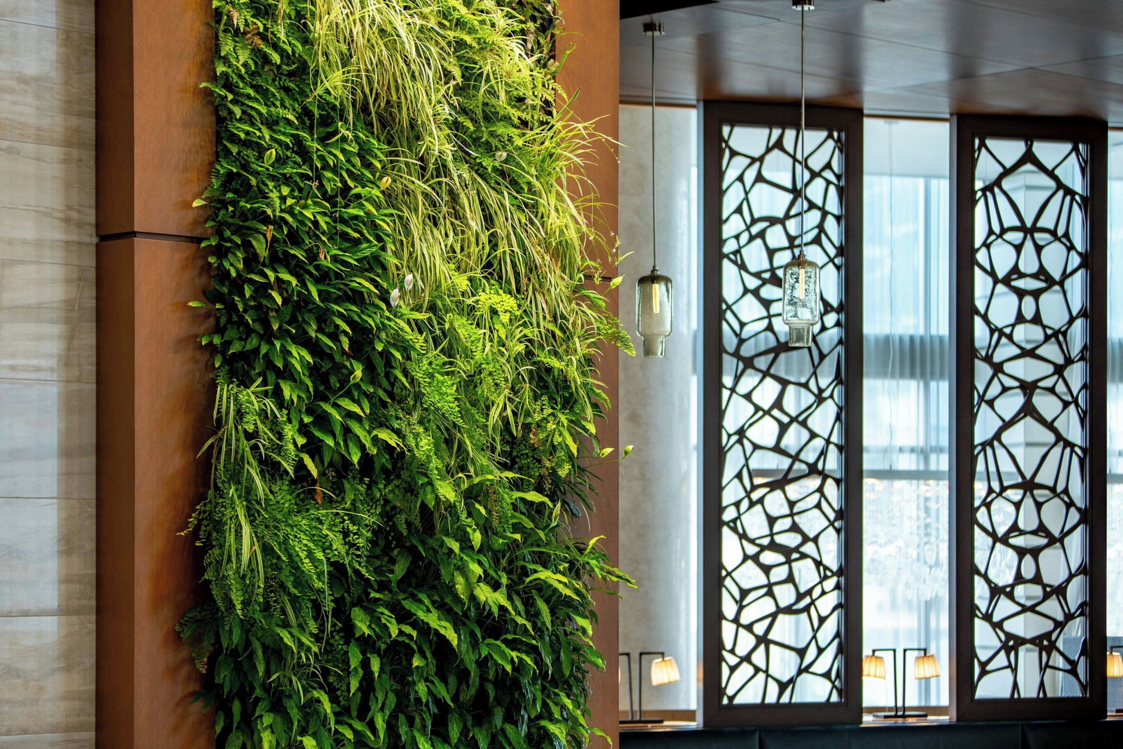 serves lunch and dinner