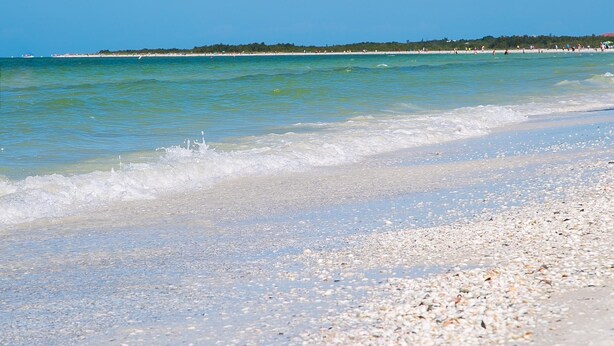 Una spiaggia con ciottoli e acqua cristallina.