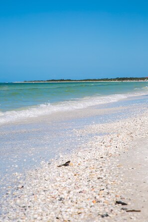 A beach with pebbles and clear water.