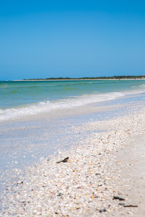 Condo, 1 Bedroom | Beach | Beach nearby - San Marco Residences 508 (Marco Island)