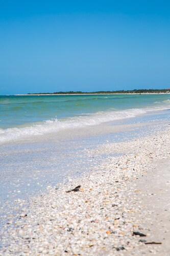 San Marco Residences 508