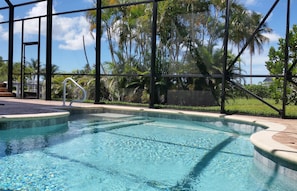 A swimming pool with clear blue water, surrounded by a glass enclosure, and palm trees in the background. - 1261 Laurel Ct (Marco Island)