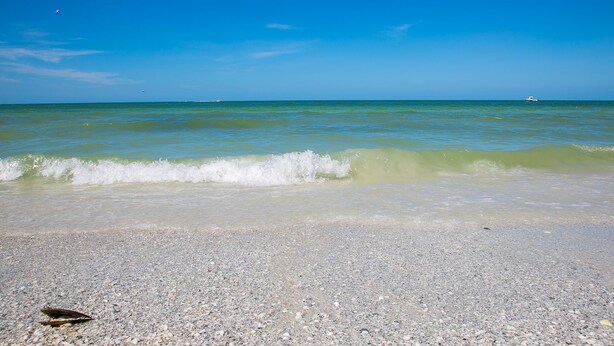 A beach with clear blue water and a boat in the distance. - South Seas Tower 3 1905 (Marco Island)