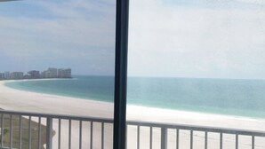 A view of a beach with a clear sky and a distant cityscape. - South Seas Tower 3 1905 (Marco Island)