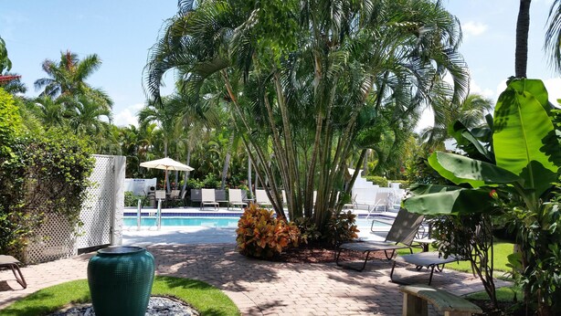 A pool area with lounge chairs and umbrellas, surrounded by lush tropical plants and palm trees. - Olde Marco Inn 401 (Marco Island)