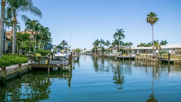 A marina with boats docked, palm trees, and buildings in the background.