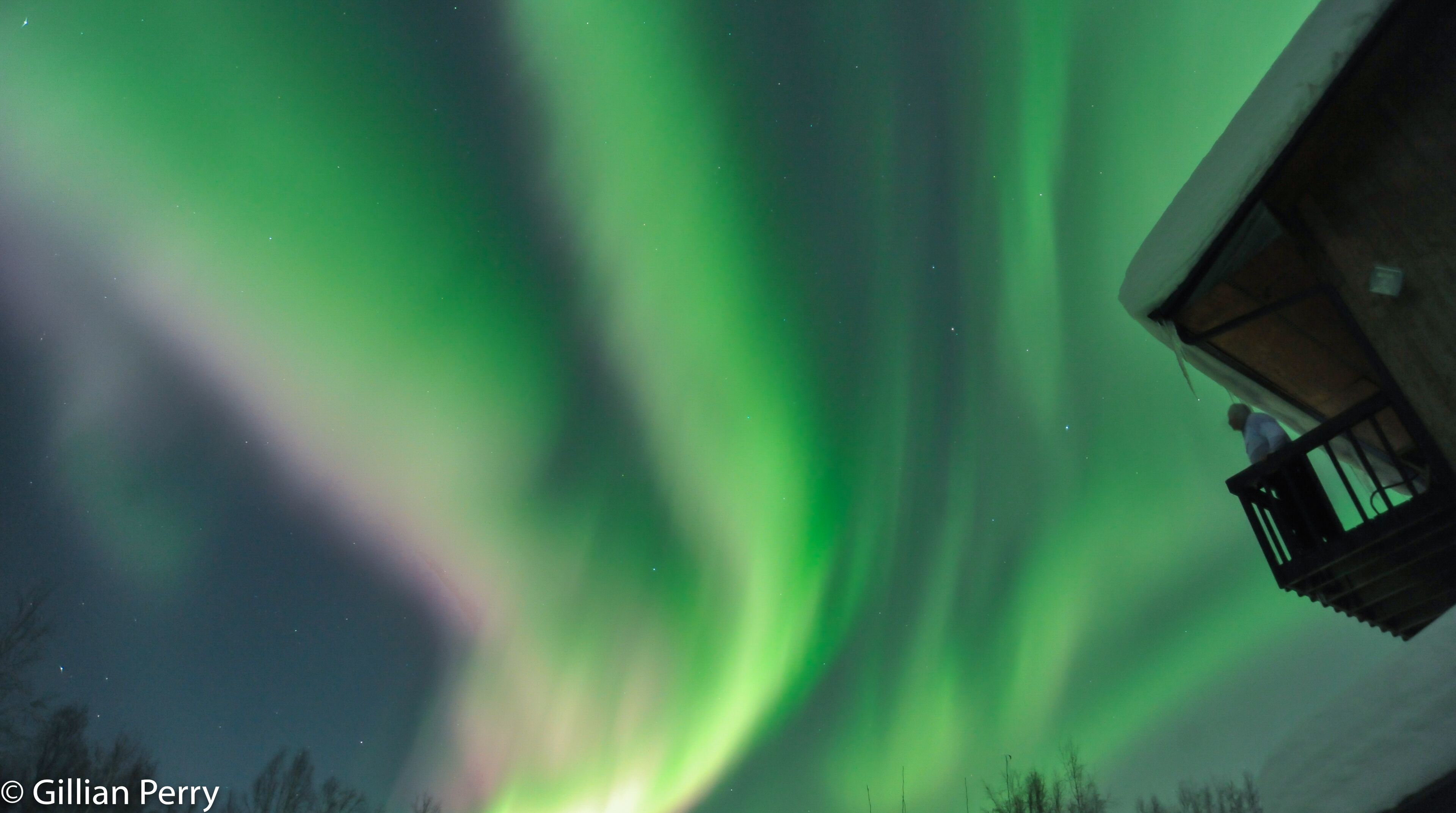 جولات سياحية بيئية