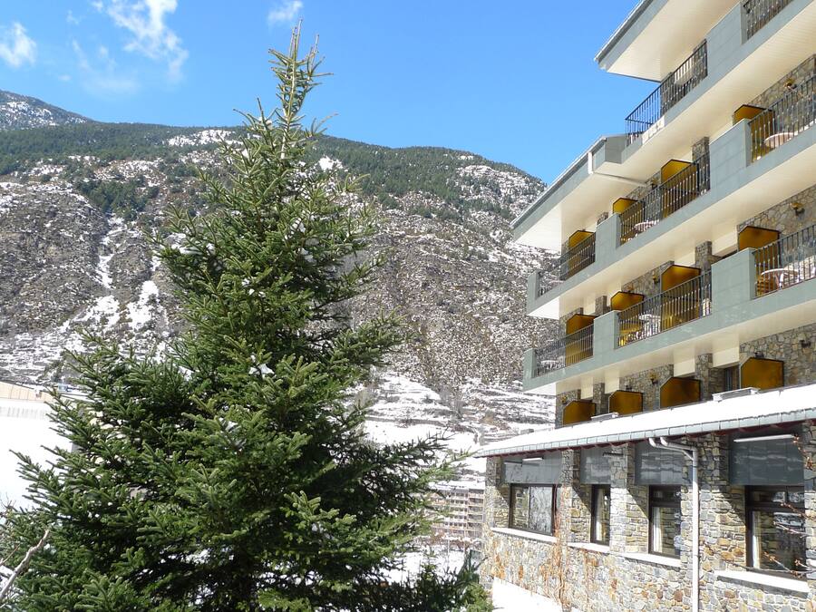 Un edificio de varios pisos con balcones, una montaña nevada al fondo y un pino en primer plano.