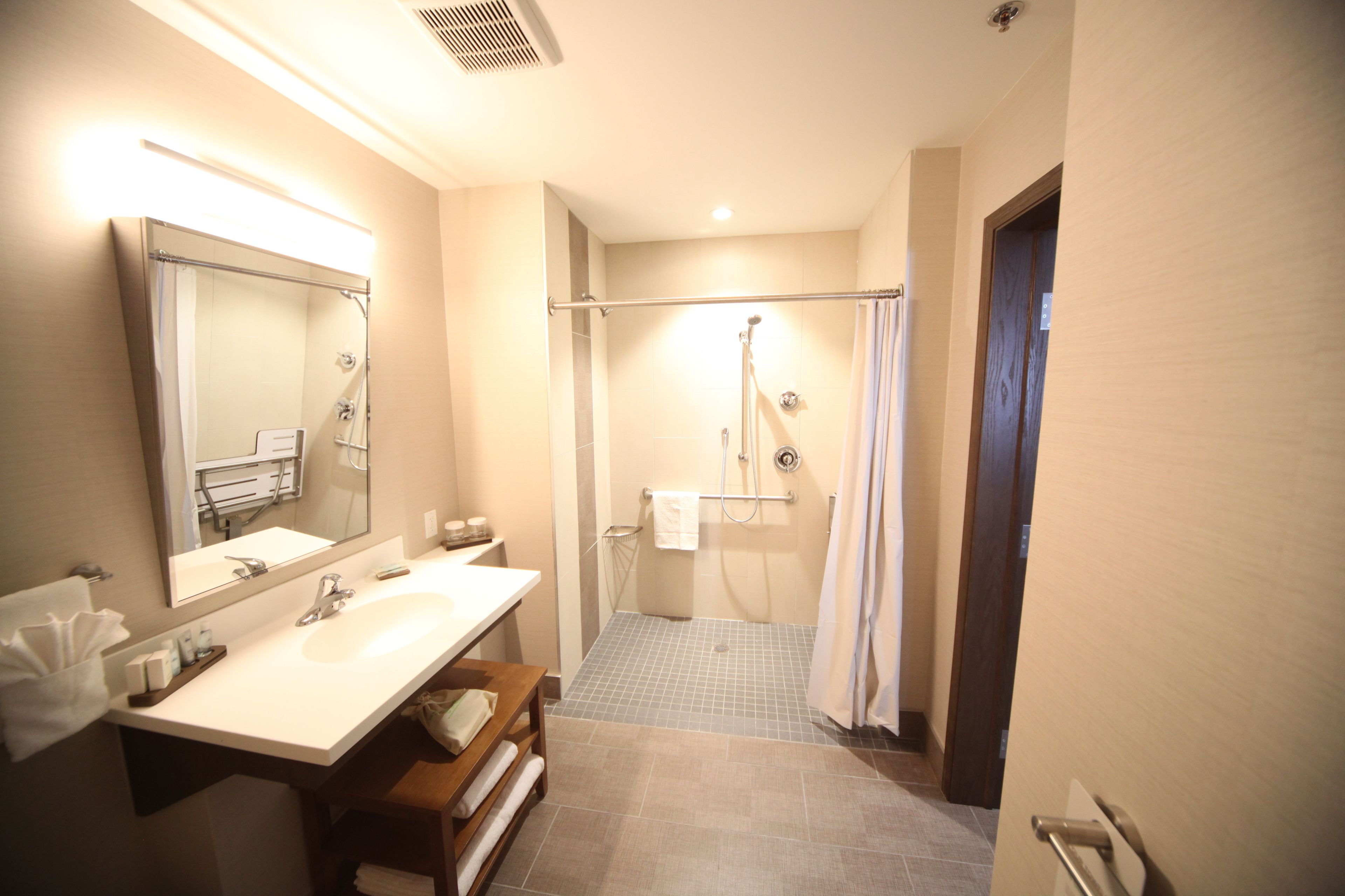 room, 1 king bed, accessible (roll in shower) | bathroom | shower, hair dryer, towels