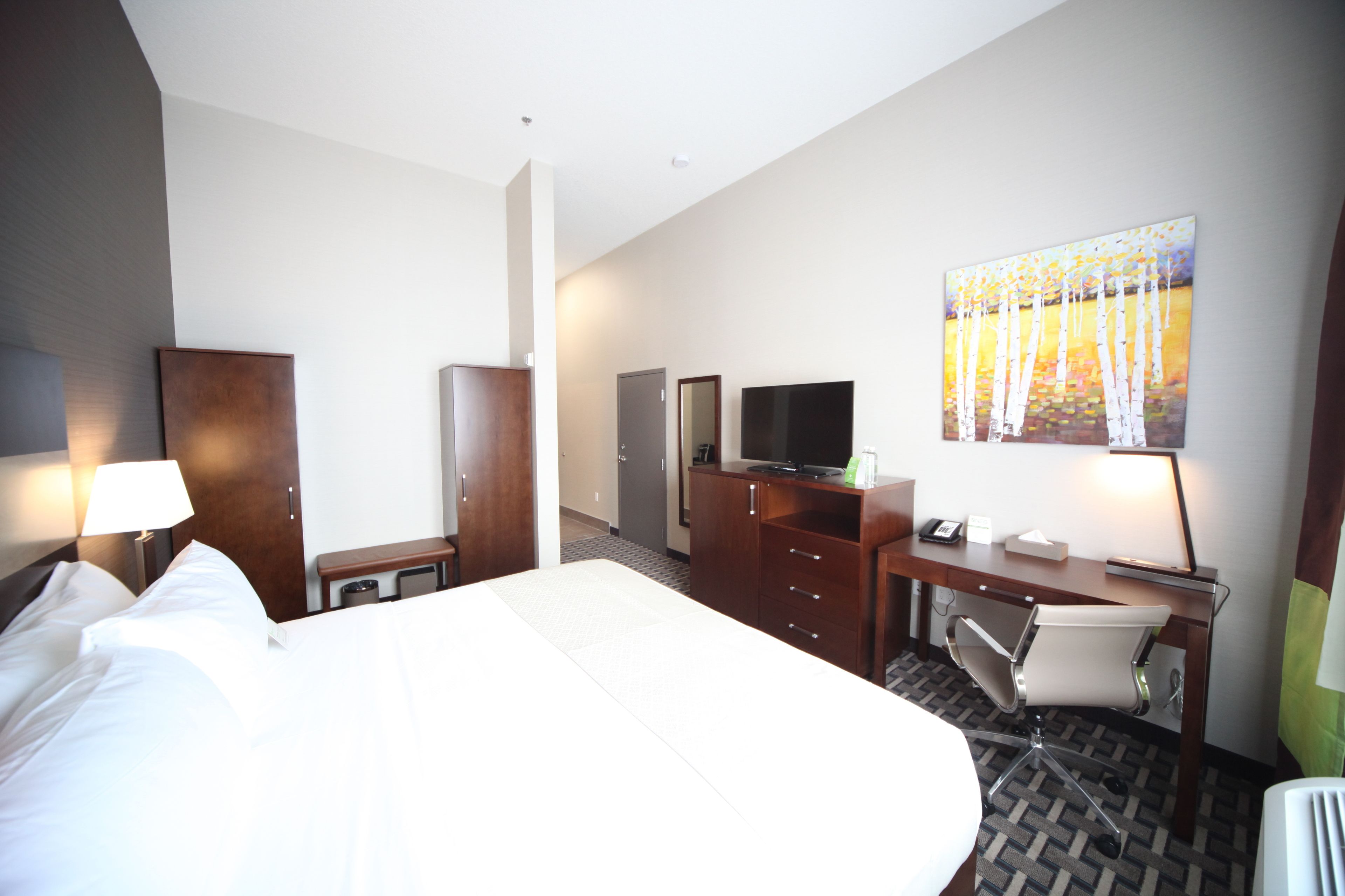 Habitación de hotel con una cama grande, un escritorio, una silla, un televisor y un cuadro en la pared.