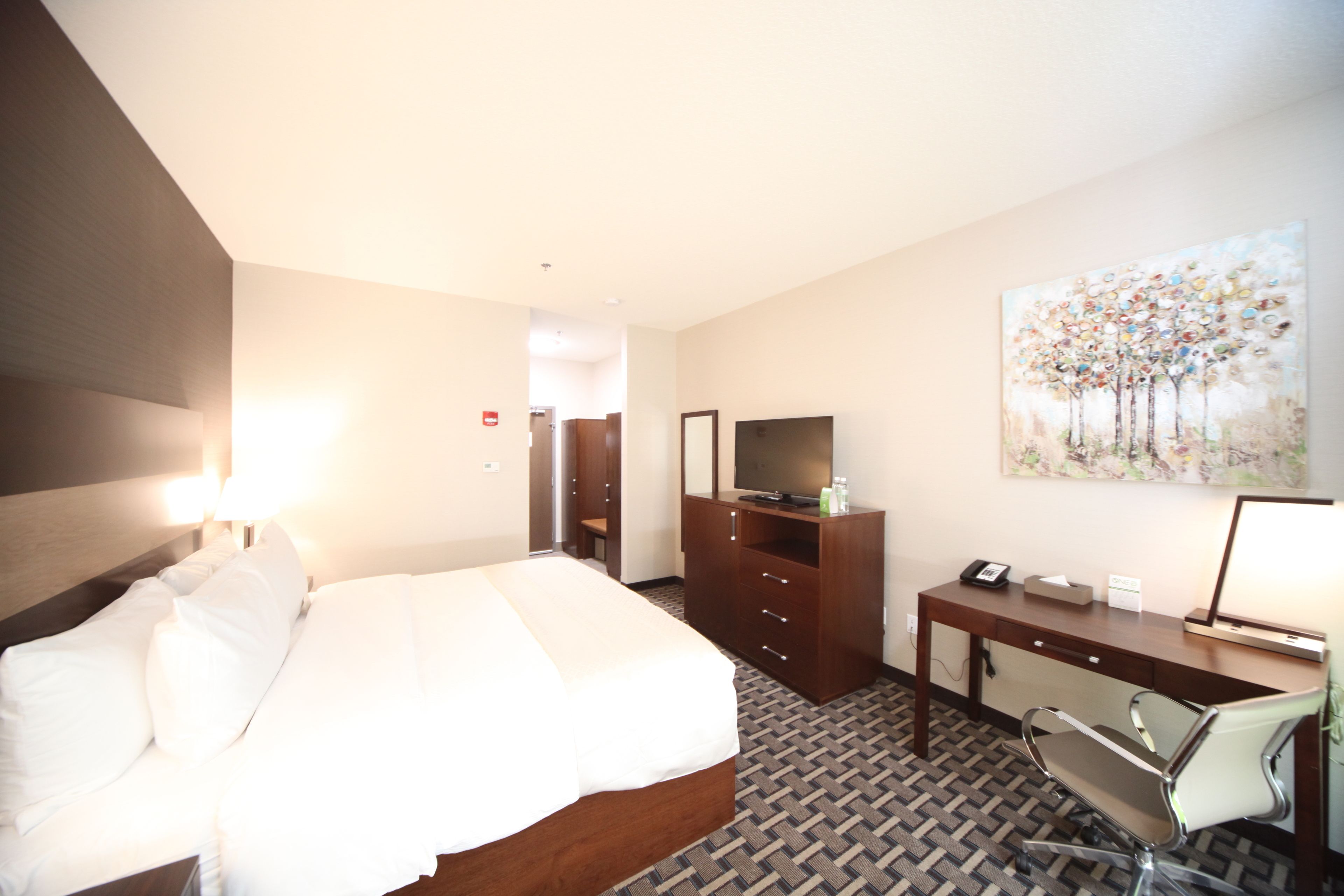A hotel room with a large bed, a desk with a computer, a TV, and a painting on the wall.