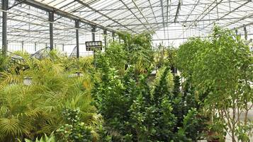 Parco della struttura