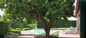 Holiday Home in Arcozelo with Private Pool