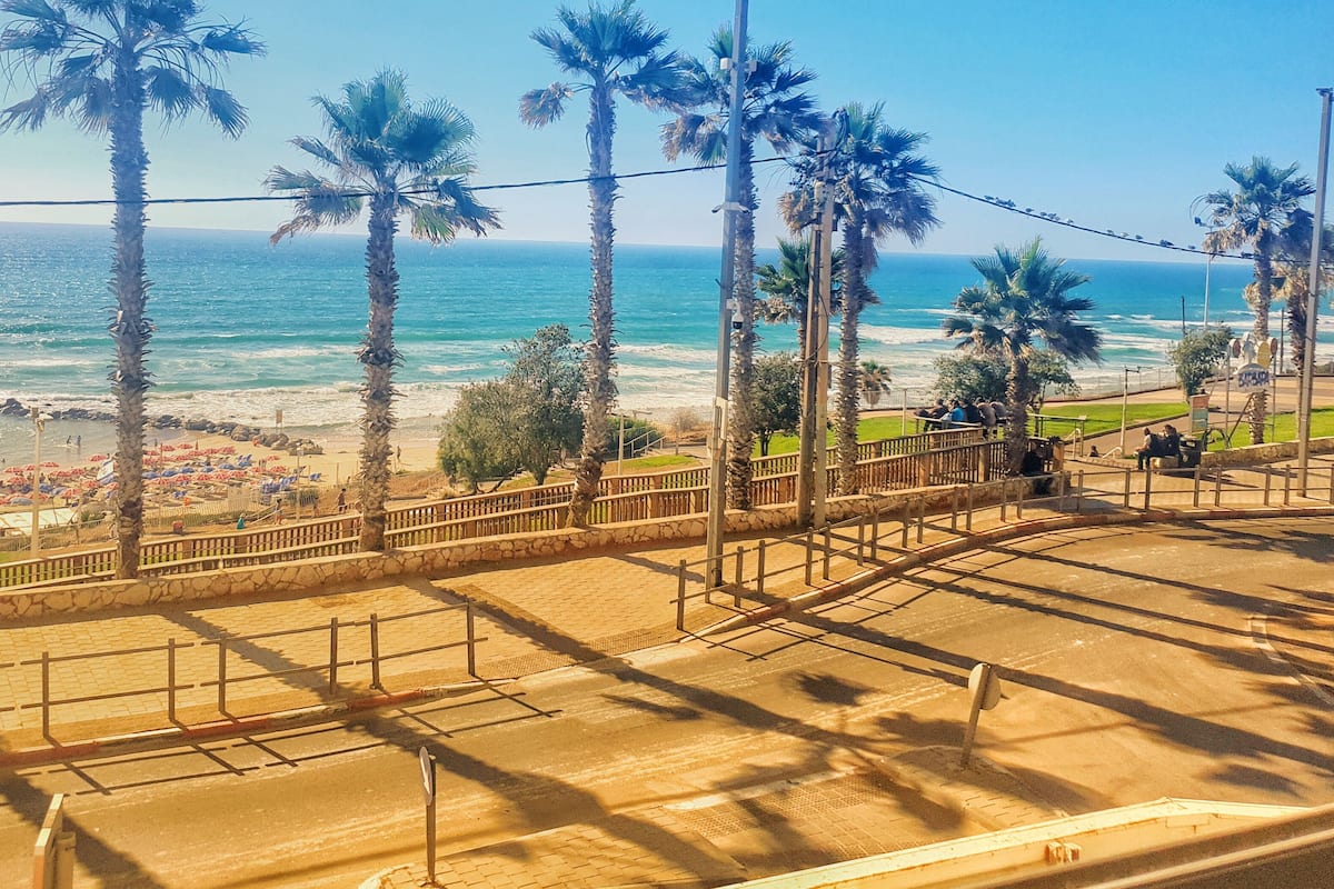 A coastal view with palm trees, a beach, and a promenade.