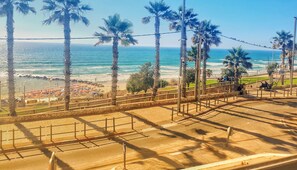 Vista costera con palmeras, una playa y un paseo marítimo.