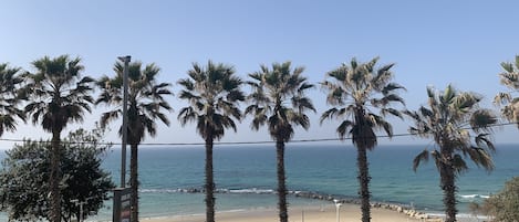 Chambre, 1 chambre, vue mer | Vue sur la plage/lâocĂ©an