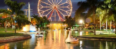 A Ferris wheel with gondolas, a body of water, and palm trees.
