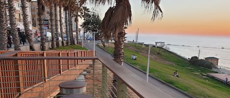 A wooden deck with metal railings overlooking a coastal area with palm trees and a view of the sea.