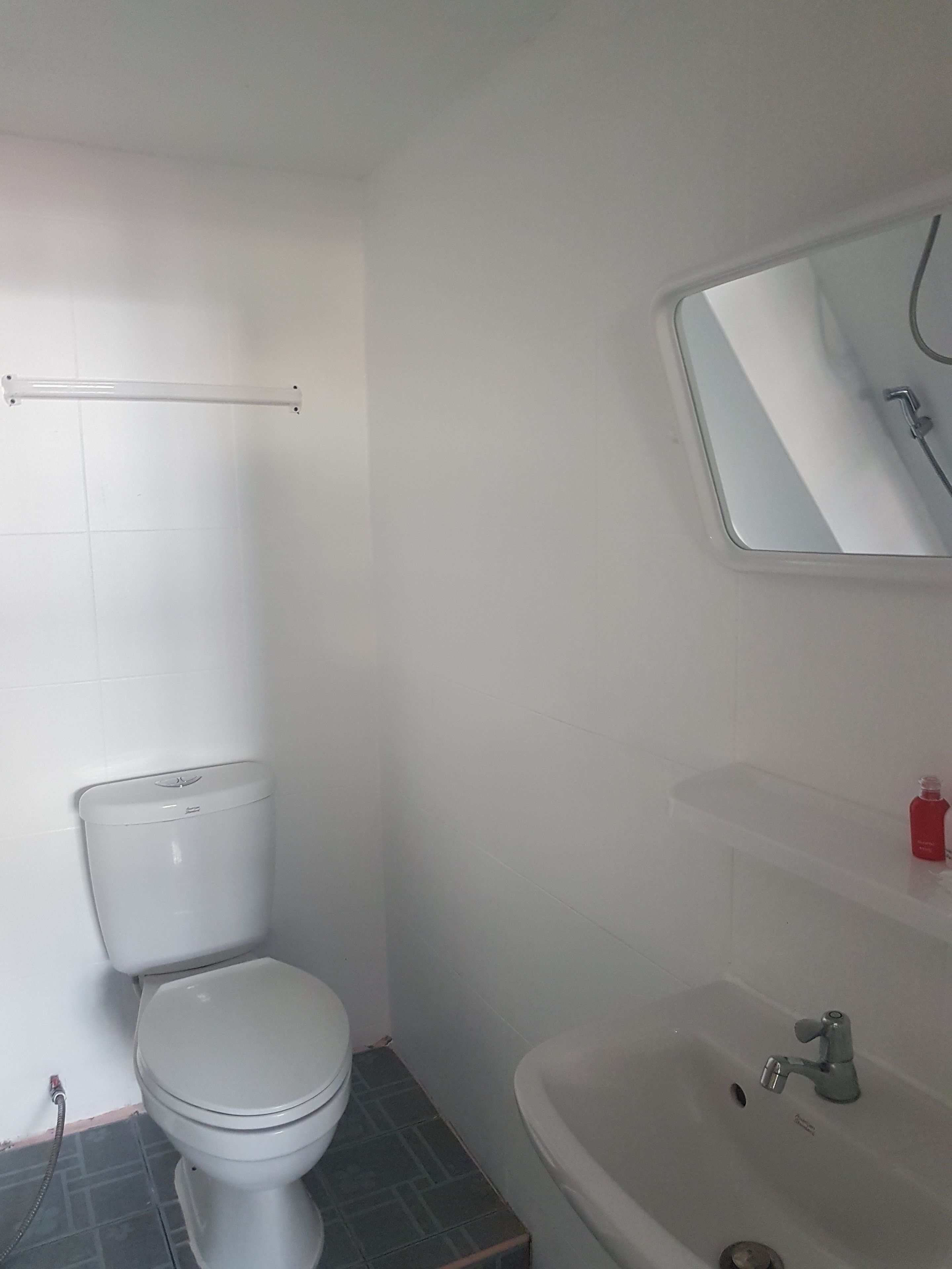 A bathroom with a toilet, sink, and mirror.