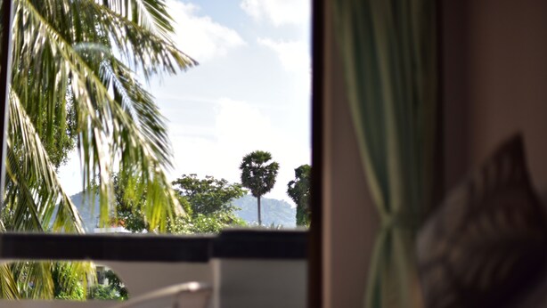 Una habitación con vistas a palmeras y montañas.