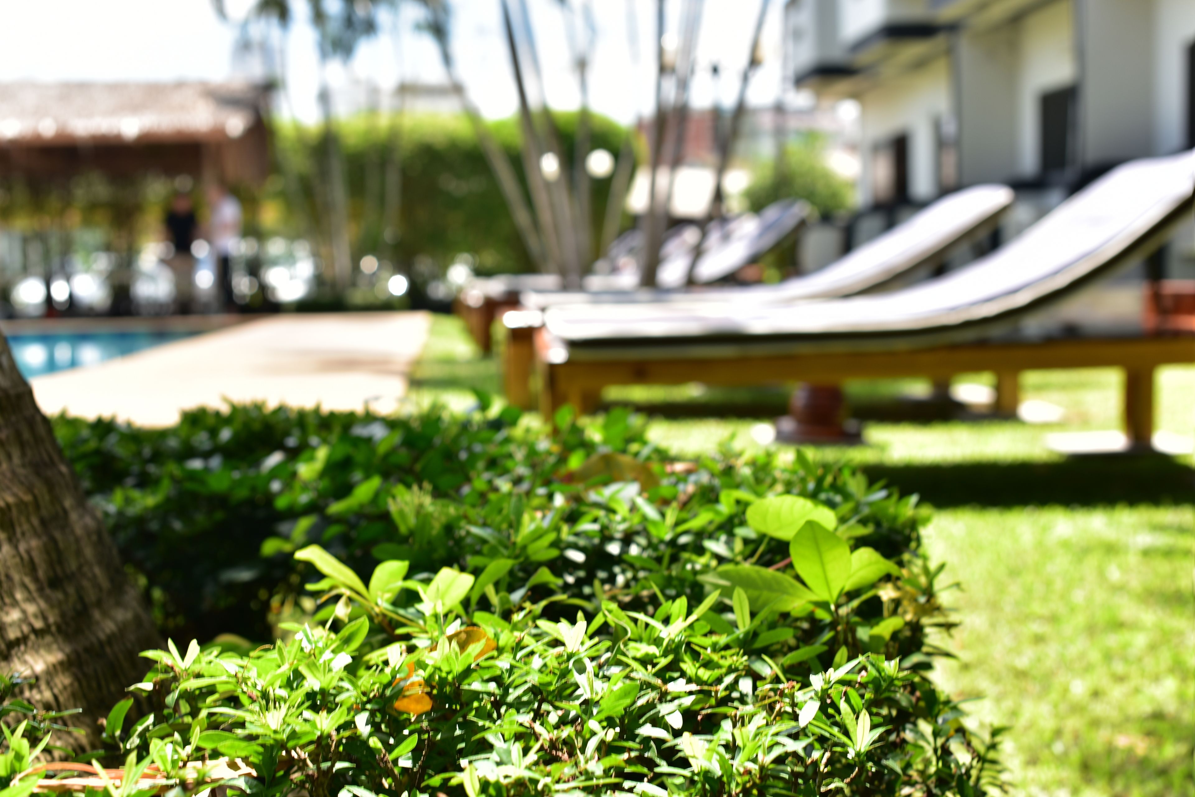 Foto - NR Nanai Patong