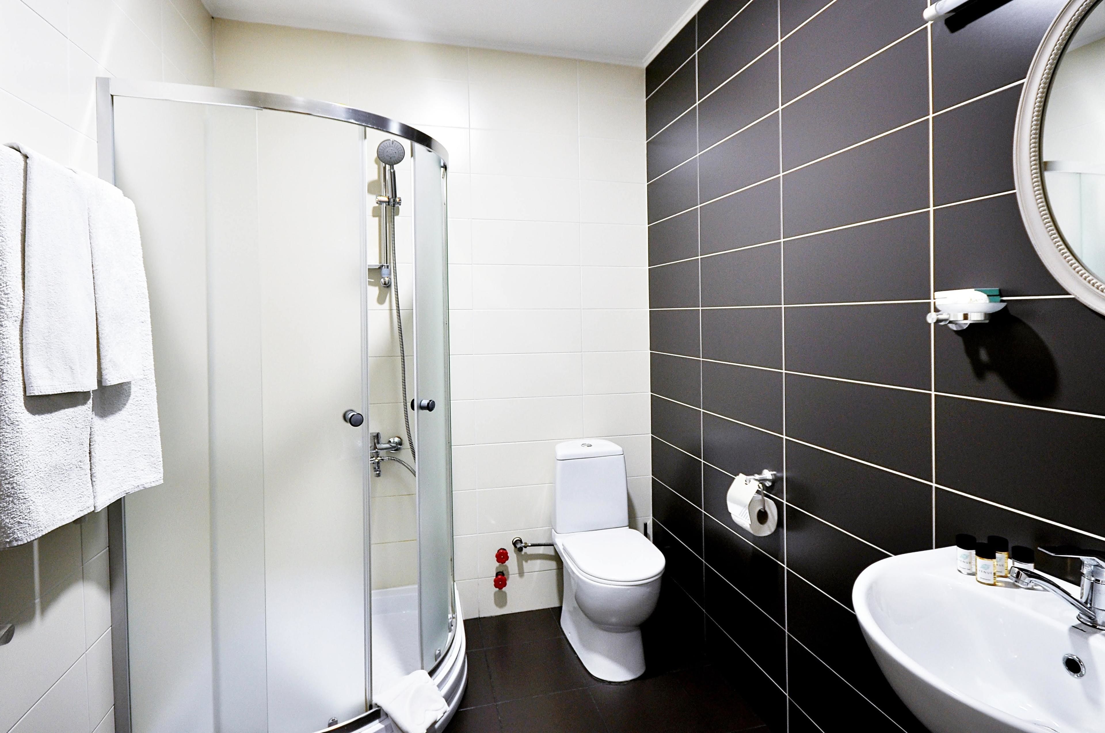 shower, free toiletries, hair dryer, towels