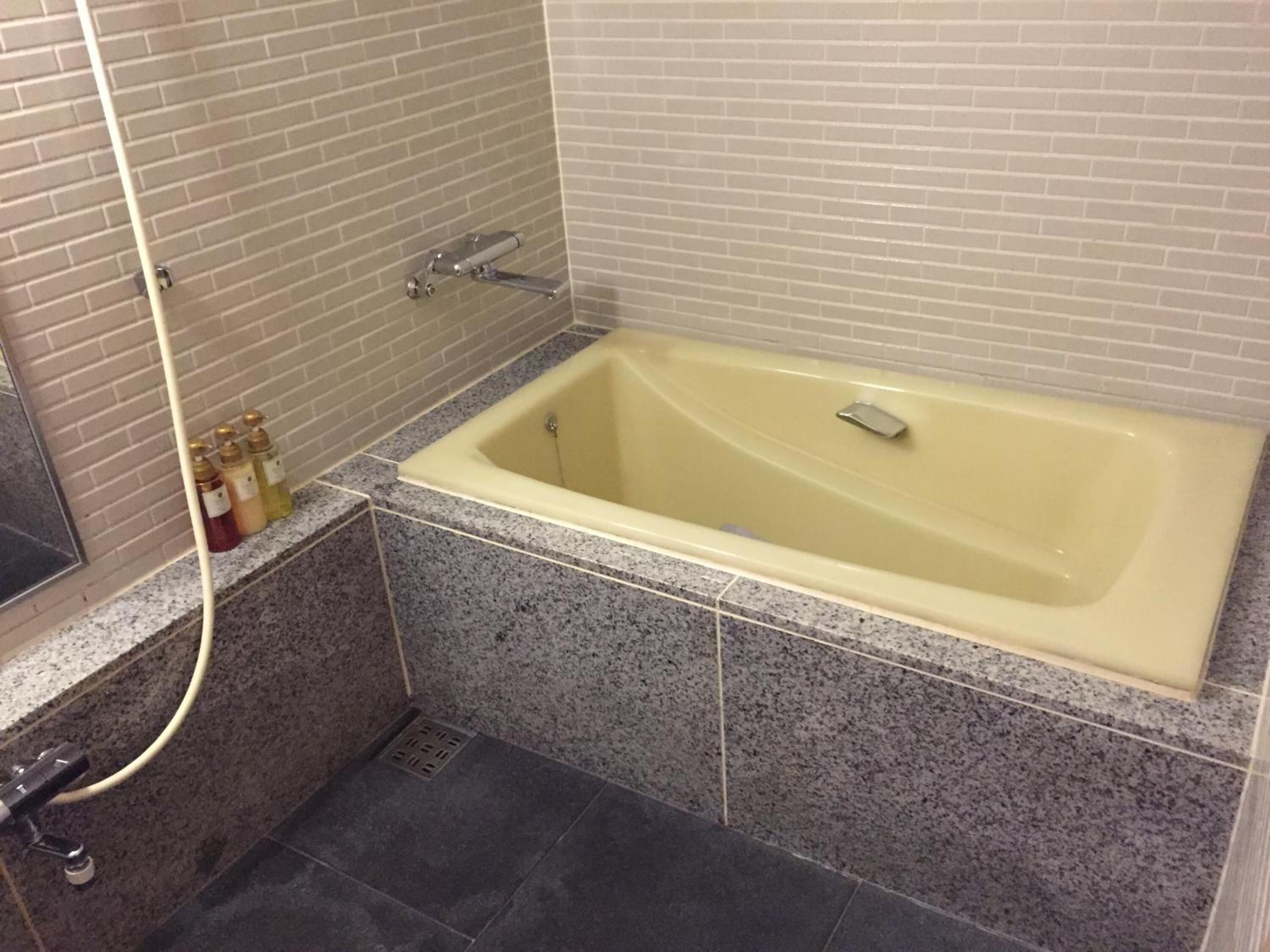 combined shower/bathtub, free toiletries, hair dryer, slippers