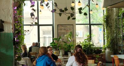 Fabrika Hostel & Suites - Hostel