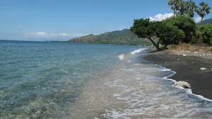 Ein Strand mit klarem Wasser, sandigem Ufer und einer von Bäumen gesäumten Kulisse.