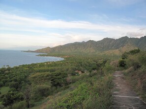 Exterior - Mimpi Nyata Villa & Dive Center (Pemuteran)