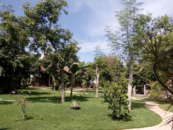 A well-maintained garden with various trees and a lawn.