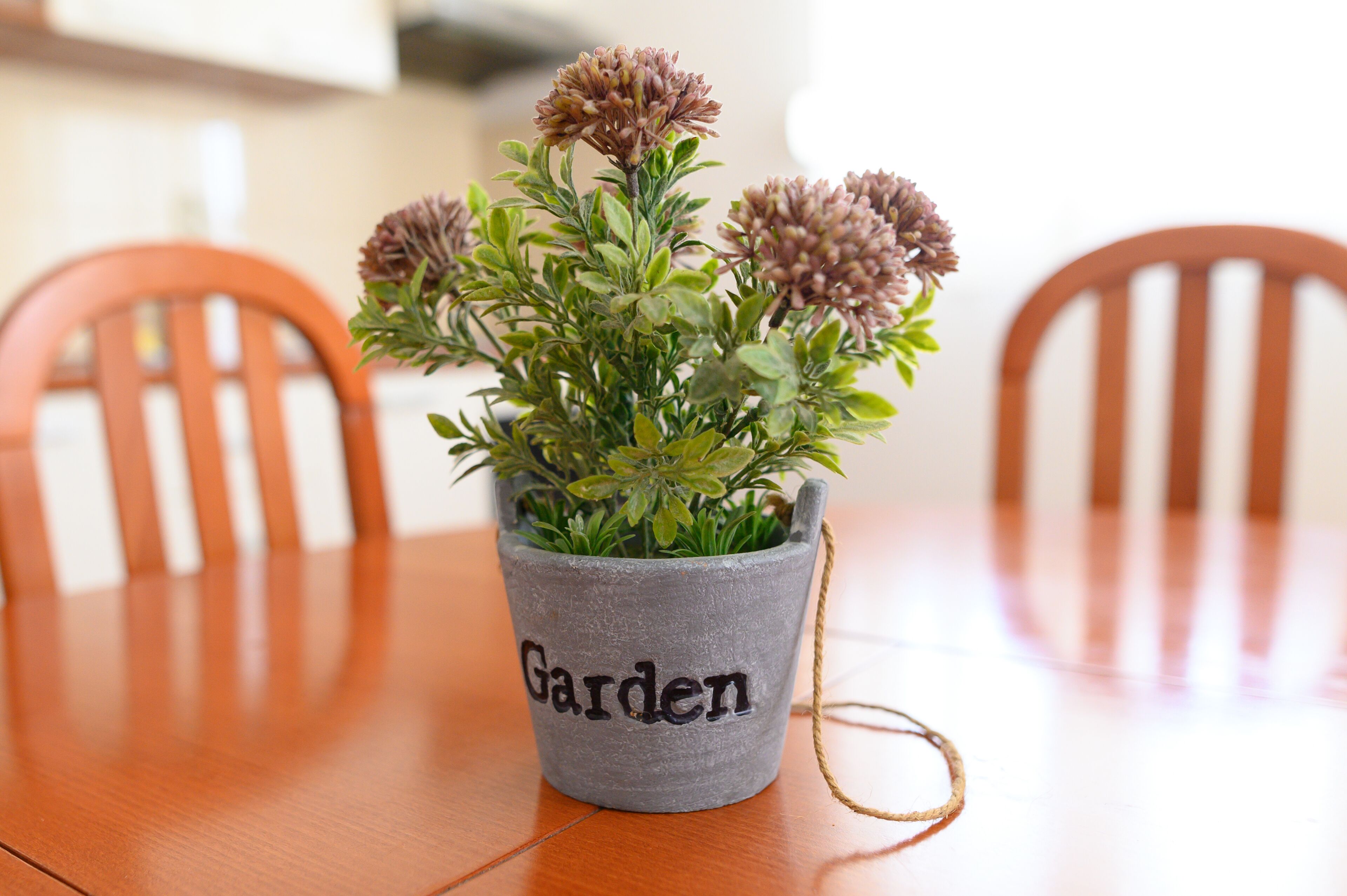 A potted plant with the word "Garden" on it, placed on a wooden table with chairs around it.