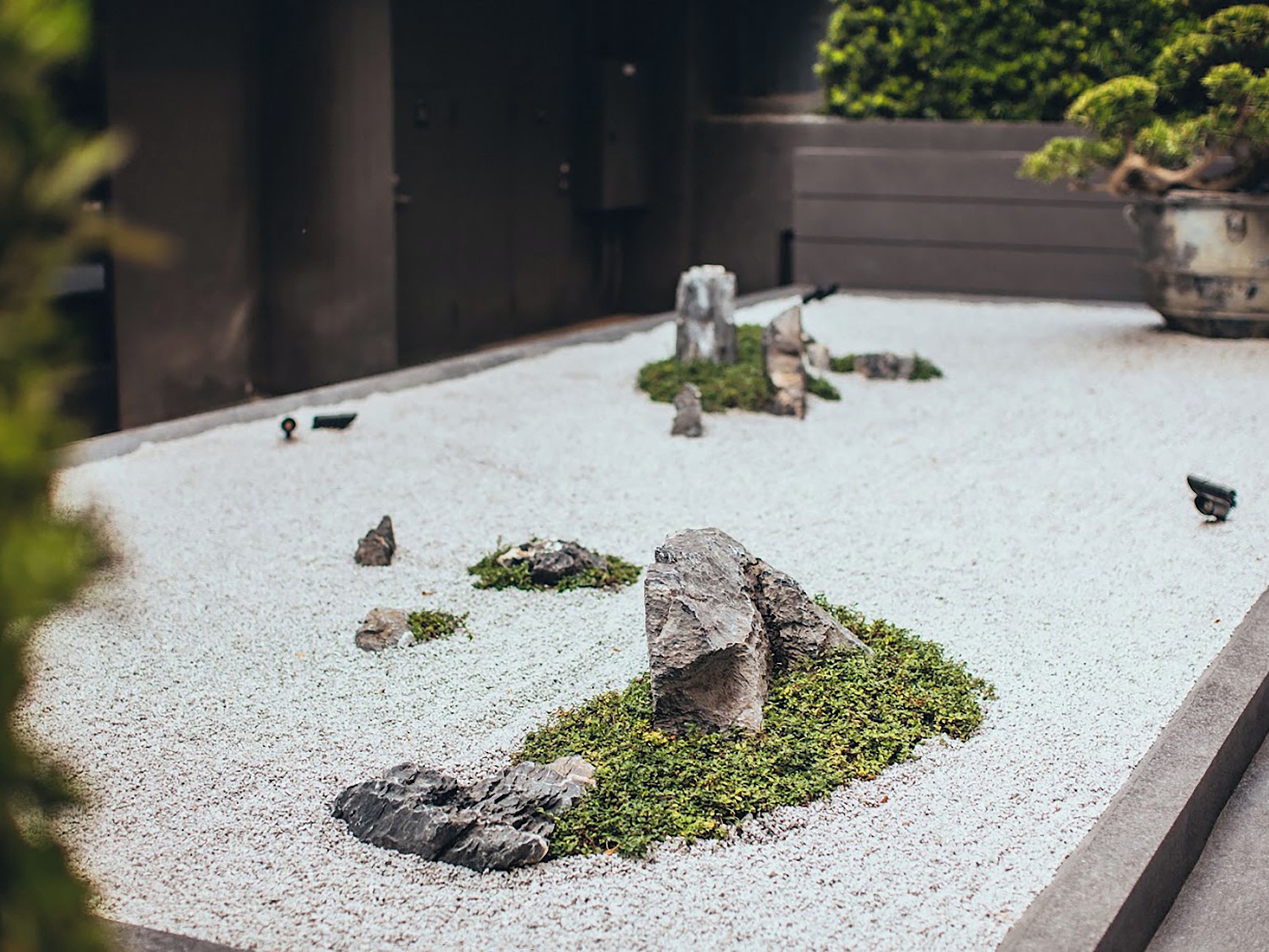 A tranquil indoor garden with a variety of rocks, moss, and a small water feature.