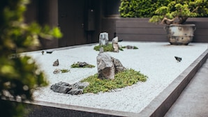A serene garden with rocks, moss, and a bonsai tree.