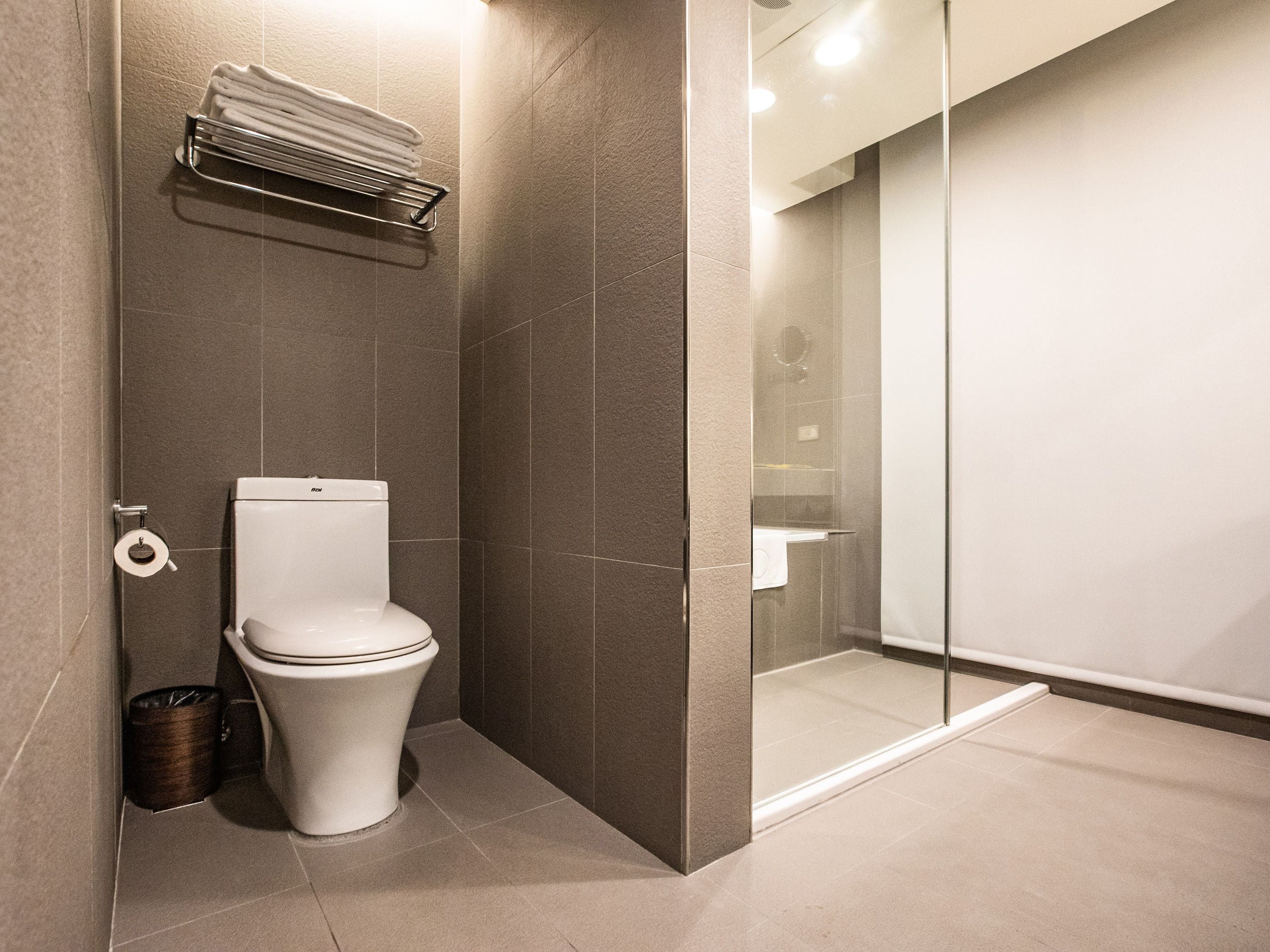 A modern bathroom with a toilet, a glass shower enclosure, and a towel rack.