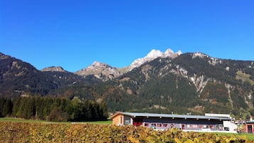 山景