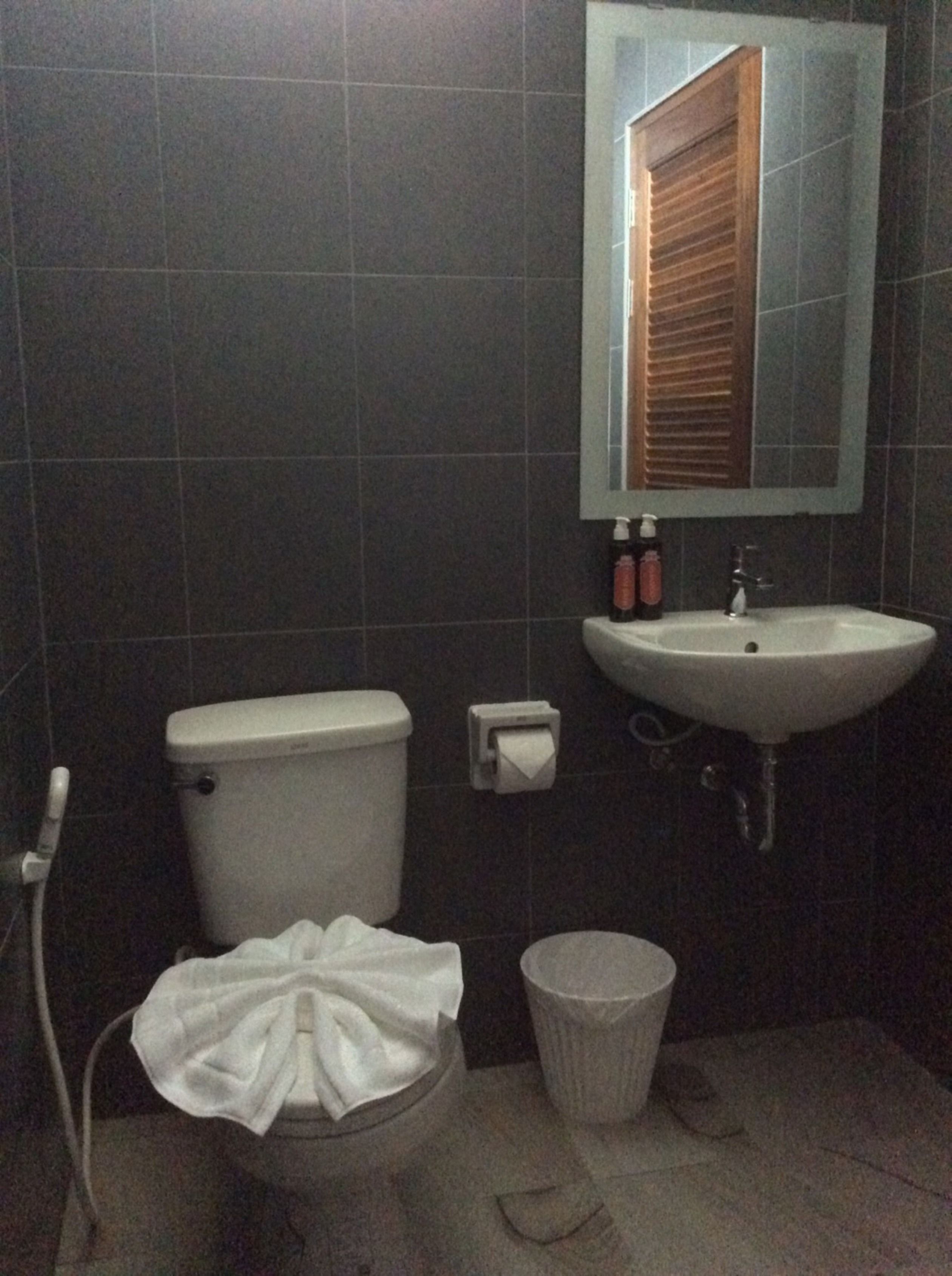 superior room | bathroom | shower, hydromassage showerhead, free toiletries, towels