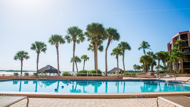 A swimming pool with palm trees and a 'NO DIVING' sign. - Riverside B407 (Marco Island)