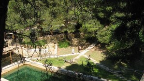 Un pati amb una piscina nítida, un camí de pedra i vegetació circumdant.
