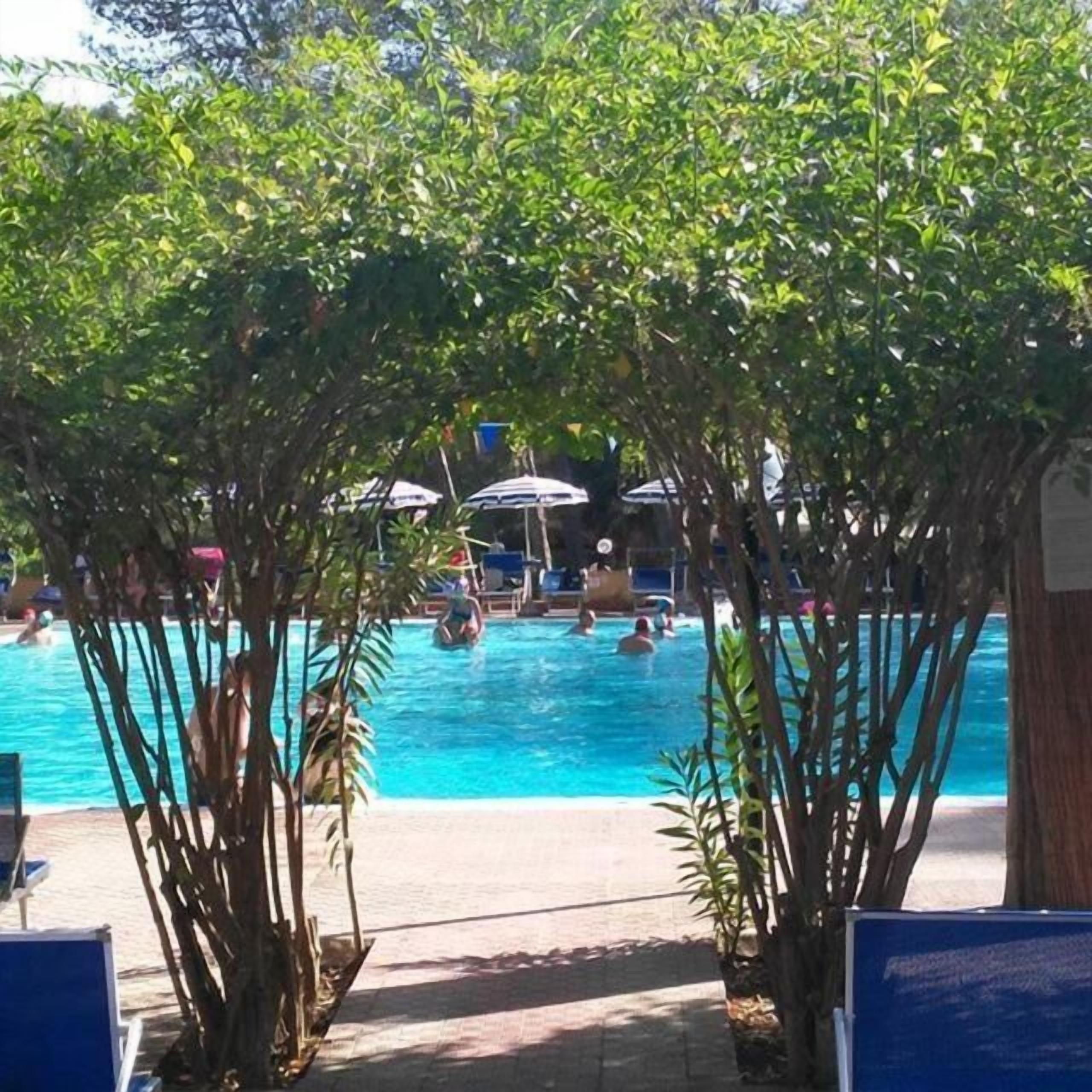 Piscine extérieure, chaises longues